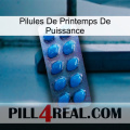 Power Spring Pills viagra1